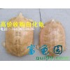 高價(jià)收購(gòu)白化龜