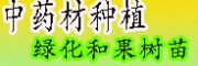 黃精、辣木、重樓等中藥材的種子培育