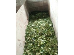 麗江花椒種植技術(shù)_麗江花椒供應(yīng)商家_麗江花椒批發(fā)戶圖2