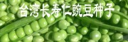 【長(zhǎng)壽仁豌豆】