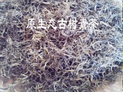 保山單株生散茶批發(fā)#古茶樹(shù)批發(fā)生采購(gòu)價(jià)格圖2