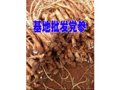 黨參種植基地市場/報價臭黨參供貨商圖2