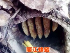 麗江蜂蜜生產(chǎn)基地@云南麗江蜂蜜價(jià)格表（圖片）圖2