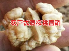 云南薄殼核桃嫁接苗|玉龍核桃仁價格麗江核桃產(chǎn)地圖2