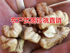 核桃哪里的好?2016.10月核桃產(chǎn)地行情價格圖1