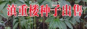 云南滇重樓基地(評價)