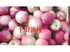 產(chǎn)地油桃價(jià)格@新紅河油桃基地批發(fā)價(jià)格%云南油桃批發(fā)圖2