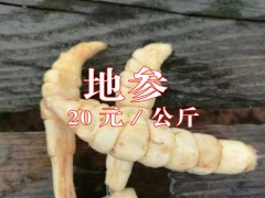 出售產(chǎn)地新鮮地參@20元一公斤&圖3