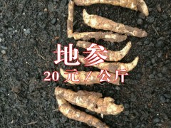 出售產(chǎn)地新鮮地參@20元一公斤&圖2