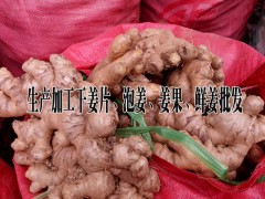 玉林干姜%云南干姜片哪里賣&云南干姜片銷售價(jià)格%干姜片加工批發(fā)廠圖2