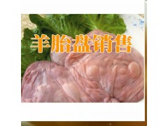 云南昆明羊胎盤哪里能買到?云南新鮮羊胎盤對外出售廠家圖2