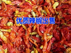 云南干辣椒批發(fā)_紅河干辣椒價(jià)格%干辣椒批發(fā)價(jià)格@干辣椒供應(yīng)商400-6633-626圖2