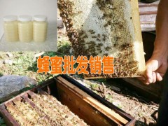 天然蜂膠多少錢|今年蜂膠的價(jià)格|今日蜂蜜行情價(jià)格宣威蜜蜂養(yǎng)殖圖3