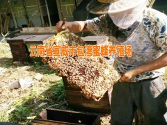 天然蜂膠多少錢(qián)|今日蜂蜜行情價(jià)格:0871-64155848圖2