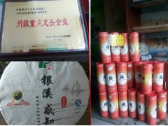 文山丘北哪里有綠茶制品廠圖2