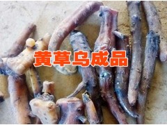 云南直桿草烏市場(chǎng)報(bào)價(jià)#直桿草烏行情分析圖3