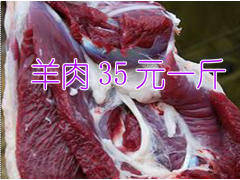 昆明羊肉批發(fā)市場1*昆明羊肉供應(yīng)商圖2