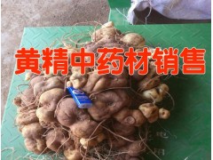 云南黃精多少錢一斤 *云南黃精根莖價格* 黃精根莖批發(fā)圖2