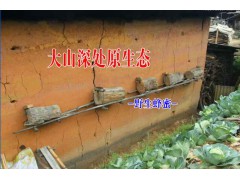 土特產(chǎn)經(jīng)營部產(chǎn)品信息_紅河金平特產(chǎn)列表圖2