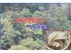 金平蜂蜜多少錢一斤&紅河蜂蜜批發(fā)供應商圖2