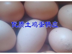 今日昭通土雞蛋批發(fā)行情#土雞養(yǎng)殖戶雞蛋行情批發(fā)價(jià)格圖2