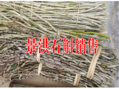 景洪普洱茶#西雙版納小?？Х?傣族的蟲(chóng)類(lèi)美食銷(xiāo)售圖3