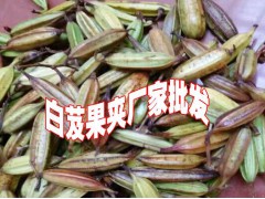 2019年鮮白芨價格%白芨種苗價圖2