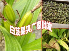 白芨夾價格%白芨夾是多少錢一斤圖2