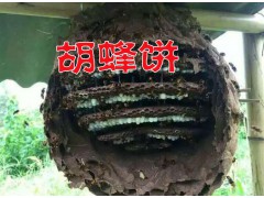 云南宣威虎頭蜂一只多少錢#蜂王自己筑巢技術(shù)圖1