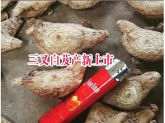 白芨市場價格是多少？白芨中藥材批發(fā)市場報價圖2