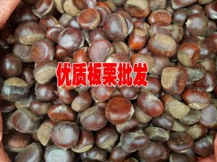 云南板栗（也叫栗子）網(wǎng)◆早熟蒜◆#早熟大蒜栽培技術(shù)圖3