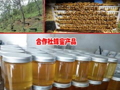 普洱市思茅區(qū)養(yǎng)蜂專業(yè)合作社087164155848圖2