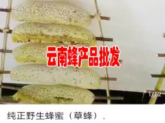 云南土蜂蜜|云南蜂蜜報價廠家|云南普洱的蜂蜜圖3