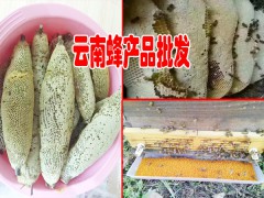 云南普洱墨江縣蜂蜜哪里多？圖3