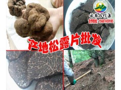 干松露行情*干松露批發(fā)廠家*干松露種植基地直銷圖2