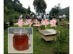 云南采購(gòu)蜂蜜/批發(fā)蜂蜜的合作社/普洱蜂產(chǎn)品都有哪些?圖3