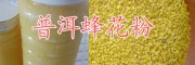 云南土蜂花粉、土蜂蜜產(chǎn)品銷售商-普洱蜂蜜