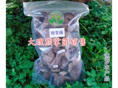 云南干雜菌-干雜菌批發(fā)價(jià)是多少？大理干牛肝菌特產(chǎn)商圖3