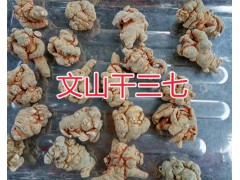 文山三七價(jià)格，20-60頭規(guī)格的三七-產(chǎn)地直接銷(xiāo)售圖2