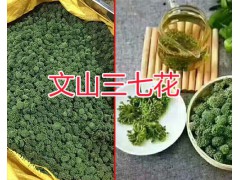 文山三七花：種植基地直供/2年的三七花銷售圖2