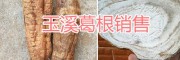 玉溪生態(tài)野葛根、葛根干片銷售，干葛根批發(fā)