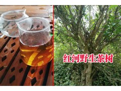 紅河古樹(shù)生態(tài)茶多少錢一斤|云南紅河古樹(shù)生態(tài)茶分布地區(qū)圖3