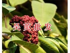 玫瑰茄（洛神花）價格&功勞木，云南金櫻根/黨參/當(dāng)歸批發(fā)價圖2