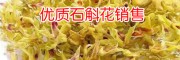 鐵皮石斛市場(chǎng)價(jià)格_ 鐵皮石斛花價(jià)格_ 鐵皮石斛花批發(fā)