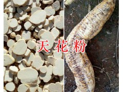 天花粉加工廠-天花粉生產(chǎn)基地/云南天花粉供應(yīng)圖2