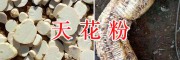 優(yōu)質(zhì)天花粉生產(chǎn)商-天花粉供應(yīng)商-求購天花粉