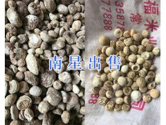 昆明茯苓銷售-祿勸茯苓供應(yīng)商_近期云南茯苓供應(yīng)圖2