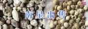 求購(gòu)龍膽草-昆明龍膽草、天南星干銷(xiāo)售