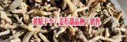 |貴州甜黃精供應(yīng)|藥廠投料貨黃精干個(gè)|花黃精滇黃精根莖|