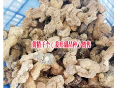 貴州黃精哪家公司好|貴州藥材種苗哪里便宜|貴州重樓多少錢一斤圖3